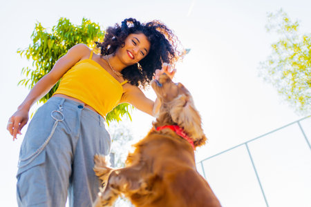 Cheerful dark long curly haired woman with american cocker dog playing in summer parkの写真素材
