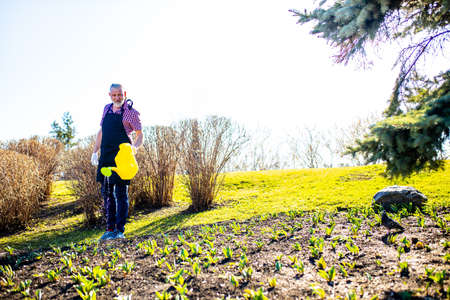 Senior man planting a plants in garden outdoors spring season readyの写真素材