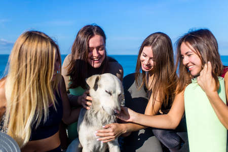 group of five women practicing yoga assans in morning beach . only girls sessionの写真素材