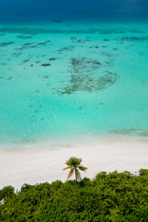 stunning blue ocean and sandy white island maldives top drone aeral view deserted hidden Maldives...
