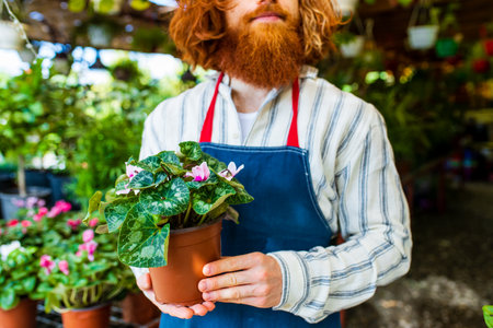 young redhaired ginger bearded man in apron working in the garden or plantationの写真素材