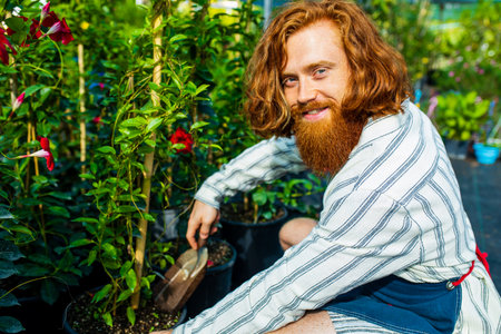 young redhaired ginger bearded man in apron working in the garden or plantationの写真素材