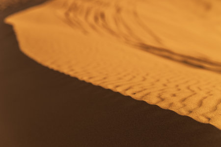 A dune landscape in the Rub al Khali or Empty Quarter at golden sunset time and nobody around