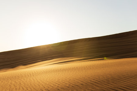 A dune landscape in the Rub al Khali or Empty Quarter at golden sunset time and nobody aroundの写真素材