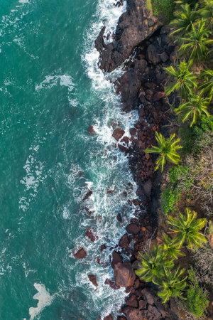 Aerial top view on tropical beach with green palm trees under sunlight Drone view in Goaの写真素材