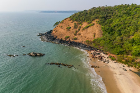 a flock of white small birds on the seashore on the sand view fron top drone in Goaの写真素材