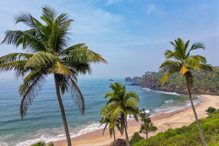 Aerial top view on tropical beach with green palm trees under sunlight Drone view in Goaの写真素材