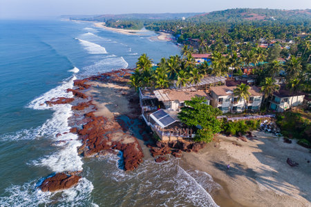 Aerial top view on tropical beach with green palm trees under sunlight Drone view in Goaの写真素材