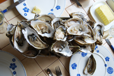 Lovely dinner with oysters and wine