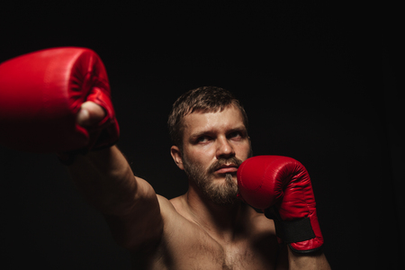 Athletic bearded boxer with gloves isolated on a dark backgroundの写真素材