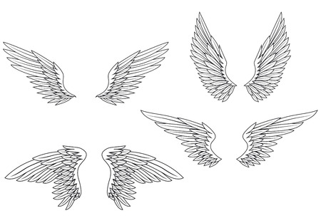 Set of heraldic wings for design and ornateのイラスト素材