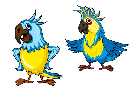 Cute colorful parrots cartoon characters showing birds with yellow and blue feathering and funny crests isolated on white backgroundのイラスト素材