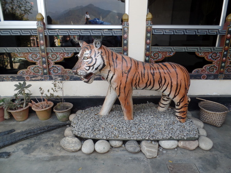 Tiger Yawnの写真素材