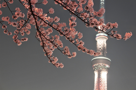 Sumida Park