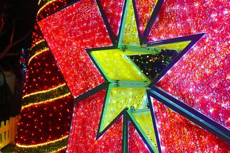 Christmas Parklandの写真素材