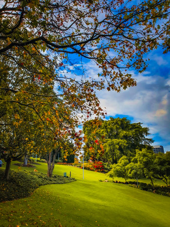 Beautiful autumn landscape with colorful trees and green grass in the parkの写真素材