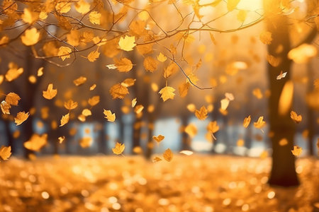 Beautiful autumn season leaf sunlight.の素材