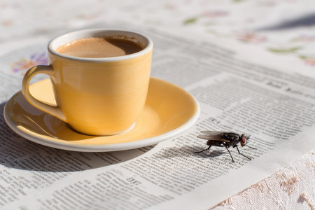 Small Fly Landing on Newspaper Next to Coffee Cup as Person Enjoys Morning Beverageの素材