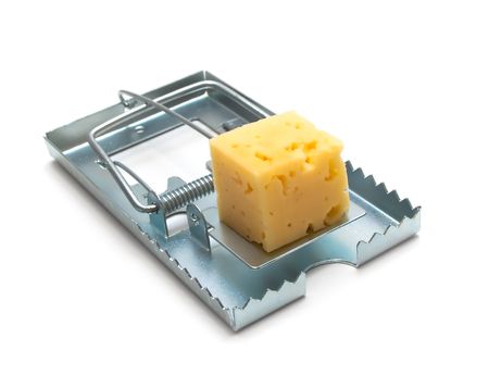mouse trap with cheese isolatedの写真素材