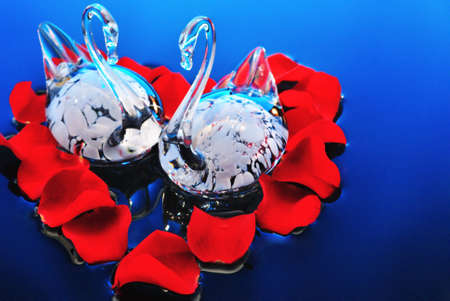 Swans at the heart of rose petalsの写真素材