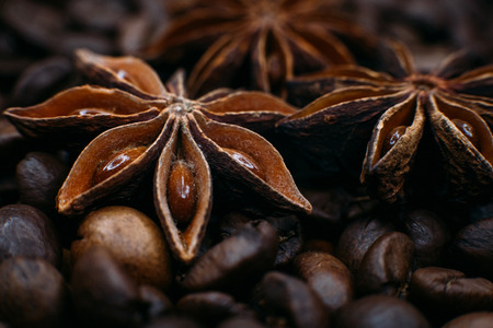 star anise and coffee beansの写真素材