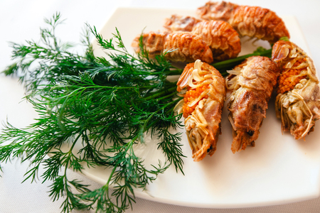 Spiked shrimp-bear on a white plate with fennel closeupの写真素材