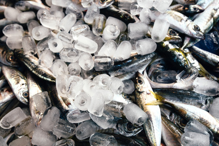 Fresh fish on ice decorated for sale at marketの写真素材