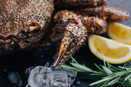 Crab on dark slate with lemon and ice cubesの写真素材