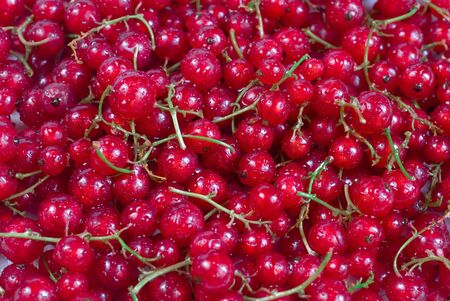 a lot of red currant close-up