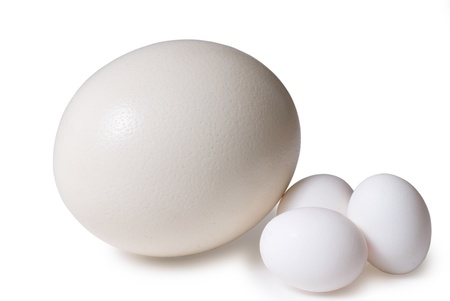 Egg of an ostrich and hen on a white backgroundの写真素材