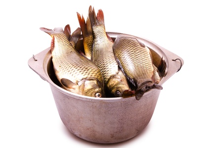 Fresh fish in a cast-iron kettle on a white backgroundの写真素材