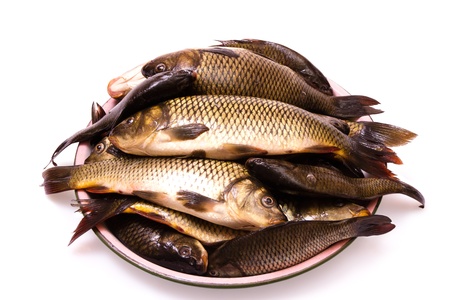 dish with fresh fish on white backgroundの写真素材