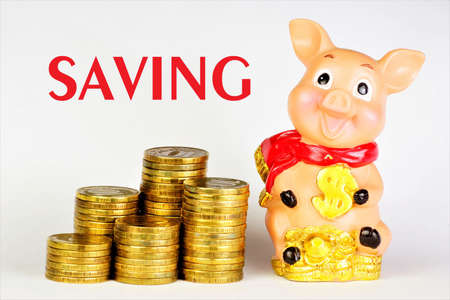 Saving up money text caption. It is reasonable to look for benefits, effectively plan their financial management and avoid costs. Correctly achieve your goals.の写真素材