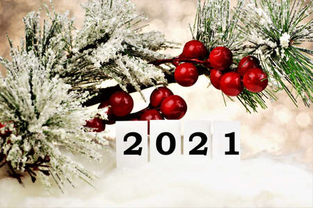Happy New year to 2021. Text message of congratulations. Festive background - elegant snow-covered...