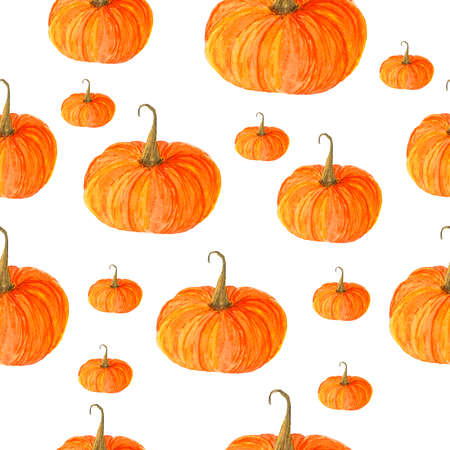 Watercolor seamless pattern of orange ripe pumpkins on a white background.の写真素材
