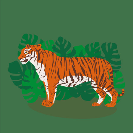 Trendy standing tiger in tropical leaves of monstera. Flat styleのイラスト素材