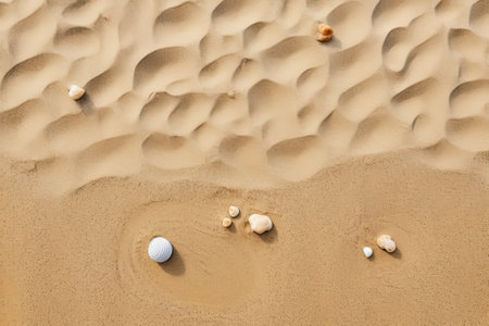 Sand dunes with seashells in the beach. Top viewの素材