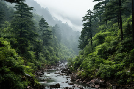 a mountain forest with high trees myst and fog grim background AI Generatedの素材