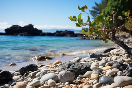 sea and sandy beach with coral rock landscape professional photographyの素材