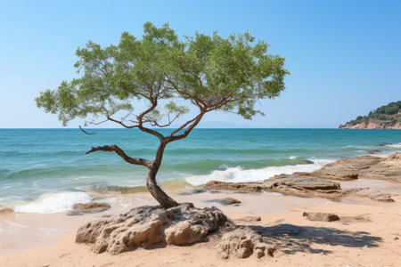sea and sandy beach with coral rock landscape professional photographyの素材