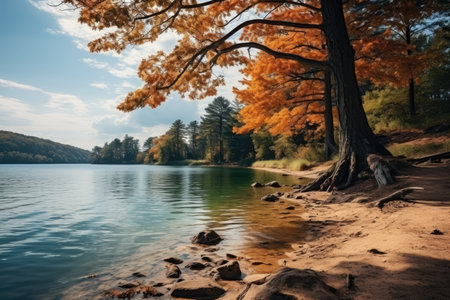 autumn leaves autumn landscape with lake and trees professional photographyの素材