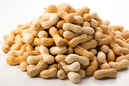peanut isolated white background professional photographyの素材