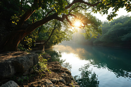 A peaceful morning scene with gentle sunlight shining through professional photographyの素材