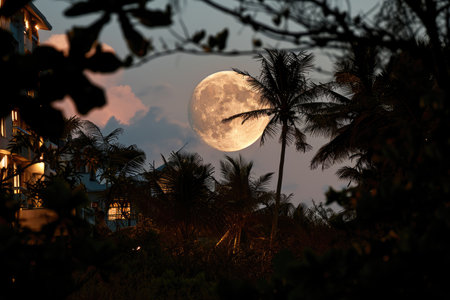 scenery with full moon professional photographyの素材