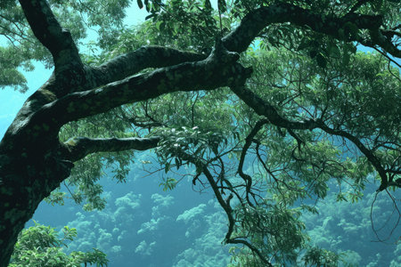 the breathtaking of beauty nature professional photographyの素材