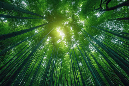 Green and lush bamboo forest professional photographyの素材