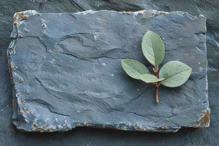 Bringing Nature Back into the City professional photographyの素材