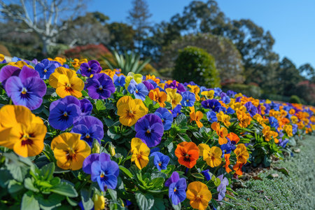 theme of outdoor spring with colorful flowers professional photographyの素材