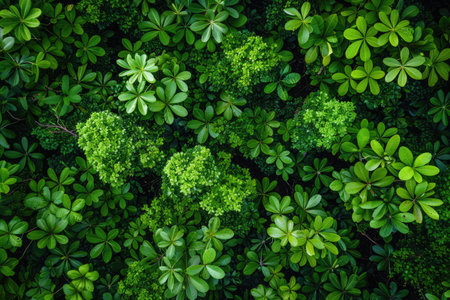 beautiful green forest on a sunny day professional photographyの素材