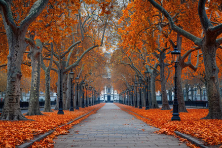 a serene treelined path with sunlight professional photographyの素材